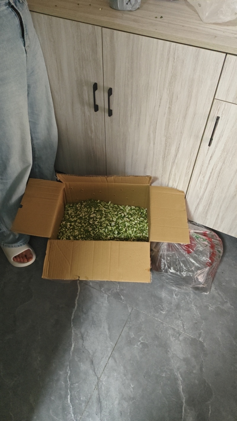 槐花