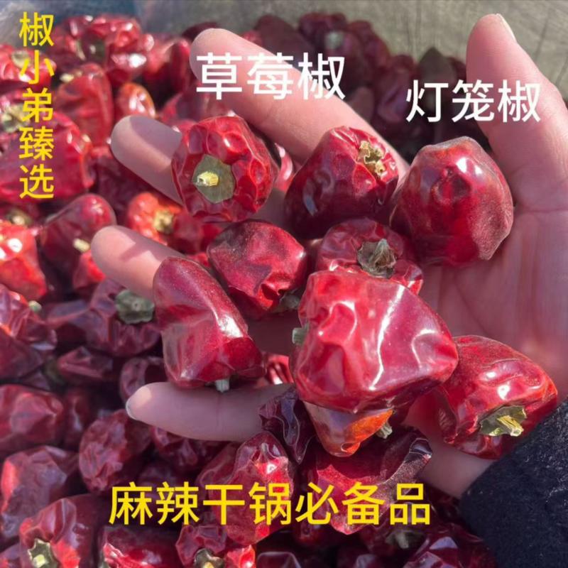 精选灯笼椒，规格齐全，产品品质佳，货量丰富，欢迎咨询