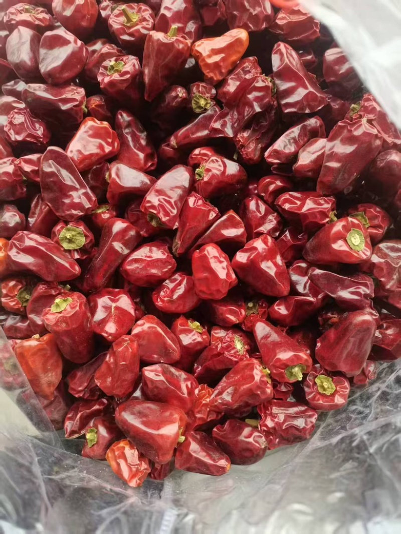 精选灯笼椒，规格齐全，产品品质佳，货量丰富，欢迎咨询