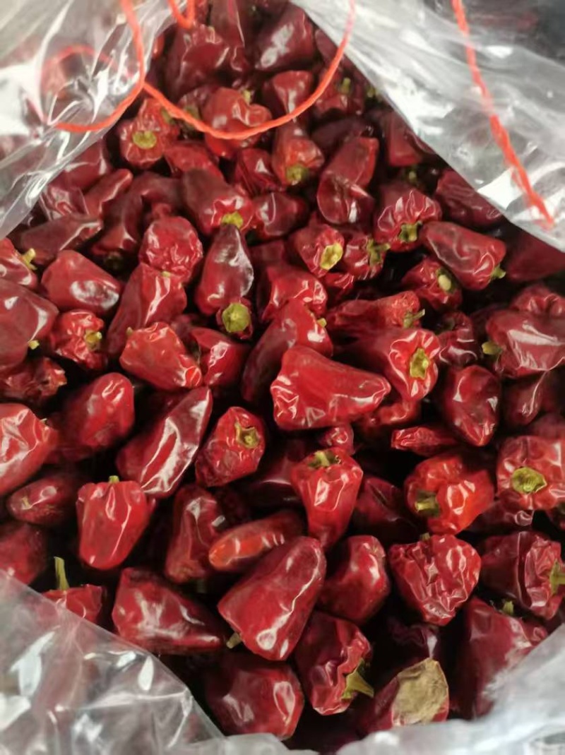 精选灯笼椒，规格齐全，产品品质佳，货量丰富，欢迎咨询