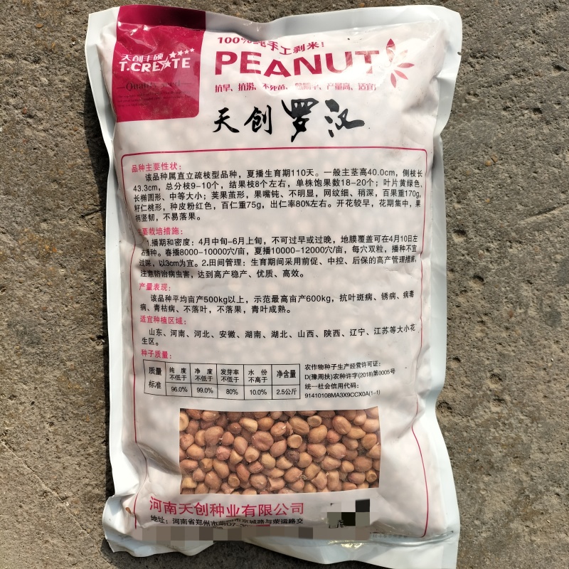 天创罗汉花生种子高产抗病抗涝抗旱不易落果农家春夏季播果柄