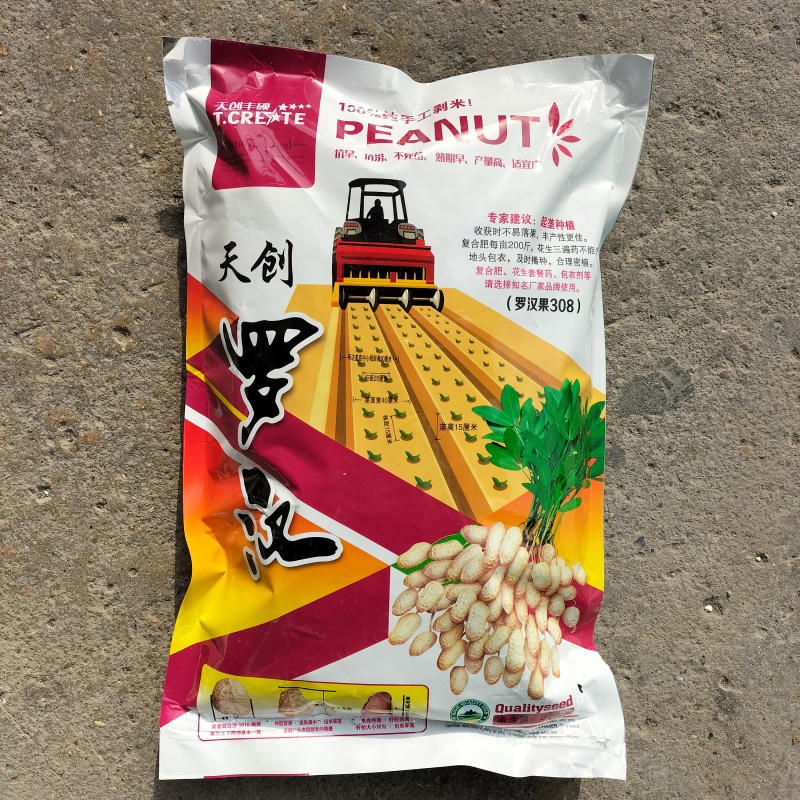 天创罗汉花生种子高产抗病抗涝抗旱不易落果农家春夏季播果柄