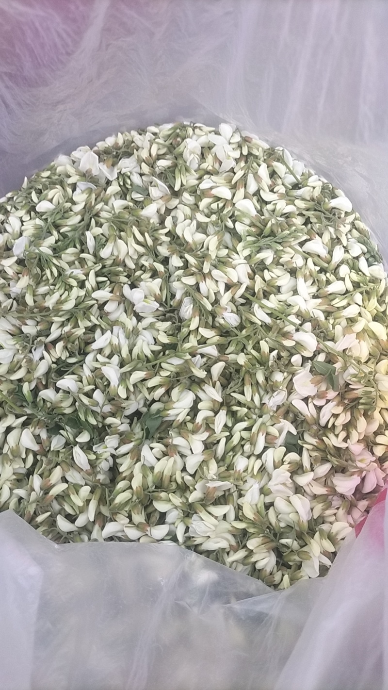洋槐花，来自无污染的秦岭山麓的野生佳品，山民自采