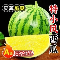 东台市特小凤西瓜，特小西、东台西瓜、蜜甜多汁爽口