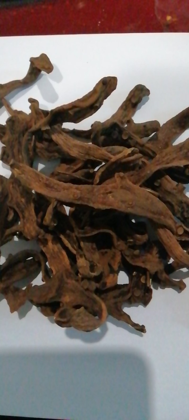 骨髓补