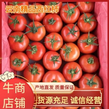 精品大西红柿，产地直发一手货源，量大从优，欢迎选购