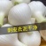 山东阳谷剥皮鲜蒜5月份大量上市，质量好，个头大