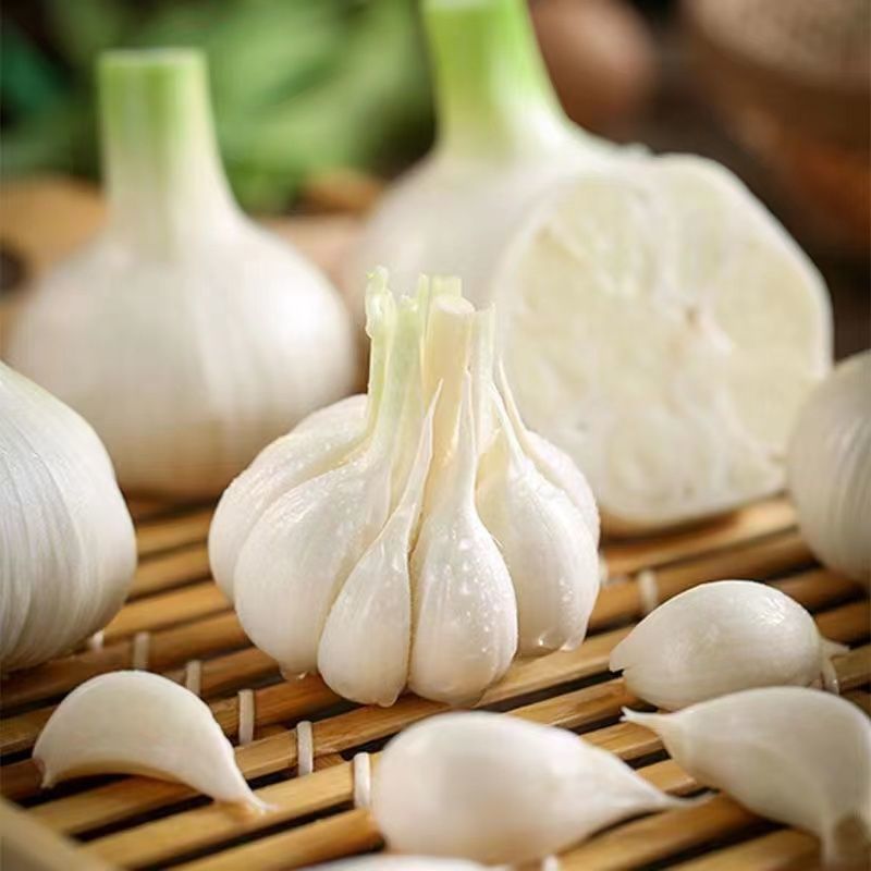 山东阳谷剥皮鲜蒜5月份大量上市，质量好，个头大
