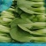 油菜