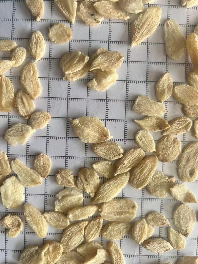 麦冬，精品麦冬，量大货优，欢迎大家前来采购，可视频看货