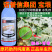 诺普信集团宝垠18克/升阿维菌素原药助剂纯度高正品杀虫