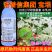 诺普信集团宝垠18克/升阿维菌素原药助剂纯度高正品杀虫