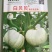惠和白贝贝南瓜种子，粉糯香甜，食用兼观赏