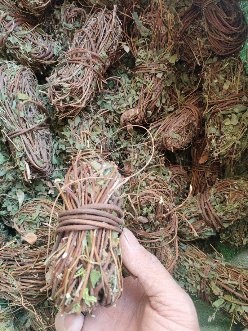 鸡骨草。精选鸡骨草无硫青靓足干，广东省内包邮