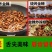 大量现货/知了猴金蝉新鲜活体冷冻2025批发结了龟爬叉猴