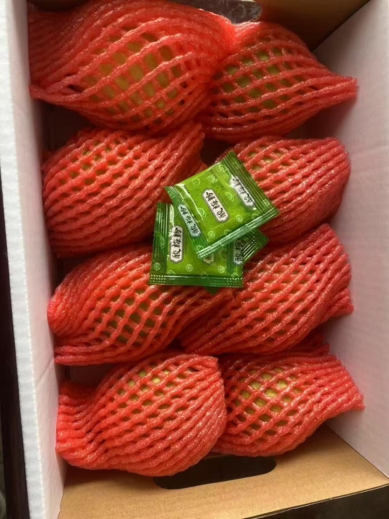 广东白心芭乐自家果园货源充足质量保证可产地看货