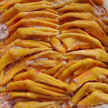 新鲜鸭掌