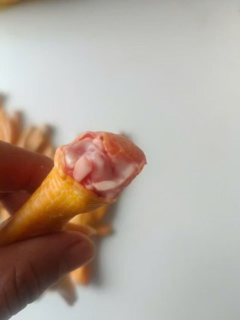 新鲜鸭掌