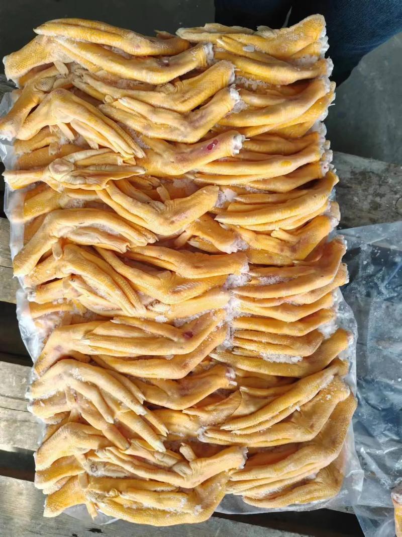新鲜鸭掌