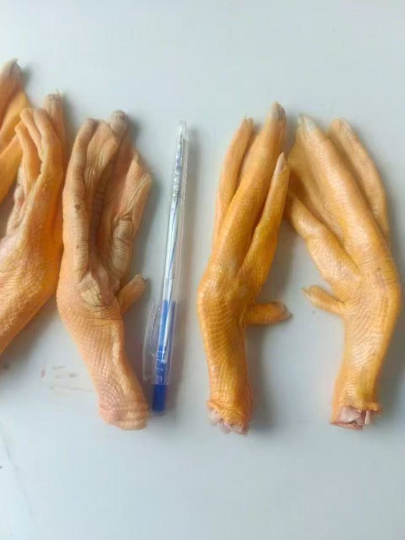 新鲜鸭掌