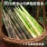 高山野生小竹笋现挖现发