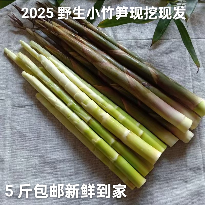 高山野生小竹笋现挖现发