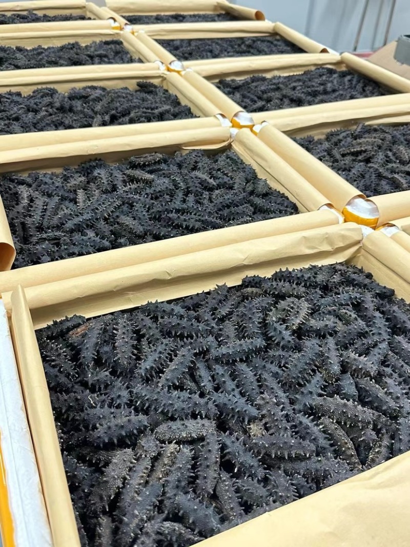 大连辽参国标开口辽参干品海参泡发率10倍刺长厚肉滋补品