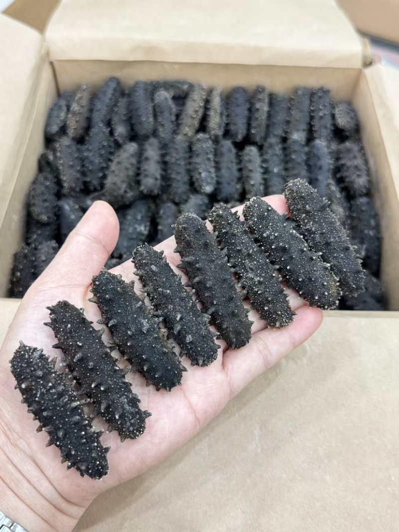 大连辽参国标开口辽参干品海参泡发率10倍刺长厚肉滋补品