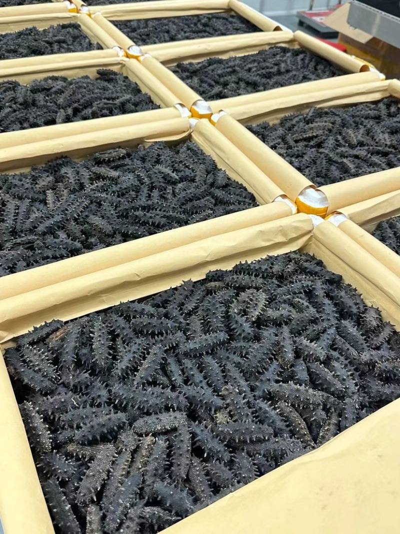 大连辽参国标开口辽参干品海参泡发率10倍刺长厚肉滋补品