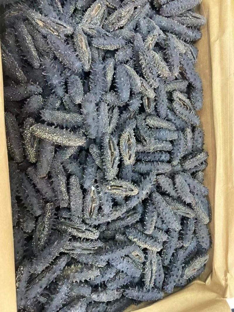 大连辽参国标开口辽参干品海参泡发率10倍刺长厚肉滋补品