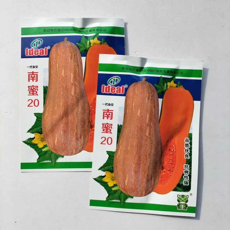 南蜜20南瓜种子一代杂交早中熟分枝力强淀粉细腻肉厚味甜高