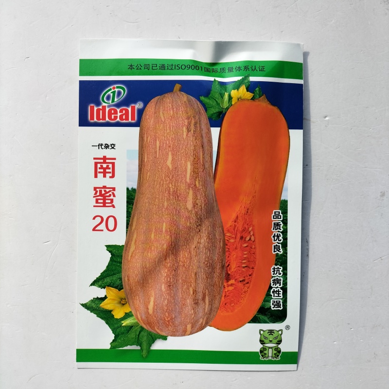 南蜜20南瓜种子一代杂交早中熟分枝力强淀粉细腻肉厚味甜高
