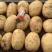 湖北天门精品黄心土豆产地发货一手货源批发品质保证价格美丽