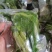 商用袋装香椿咸菜公司货源充足，250克和500克两个规格