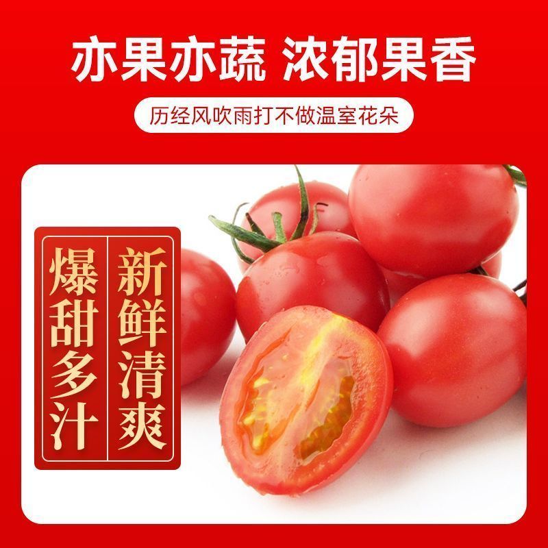 产地一条龙服务/贝贝圣女果靓贝千禧釜山88青甜2号青口蜜
