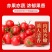 产地一条龙服务/贝贝圣女果靓贝千禧釜山88青甜2号青口蜜