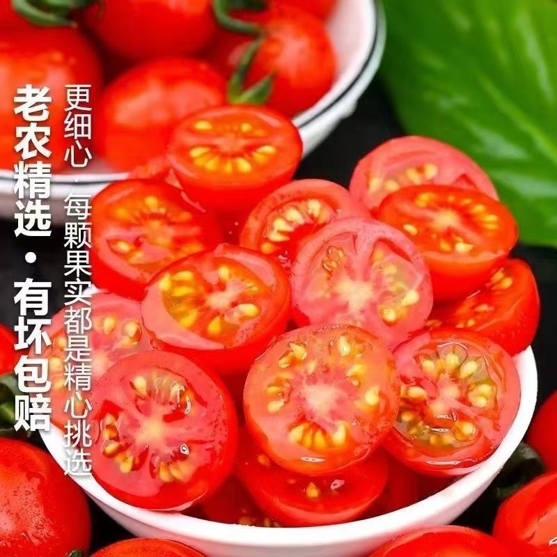 产地一条龙服务/贝贝圣女果靓贝千禧釜山88青甜2号青口蜜