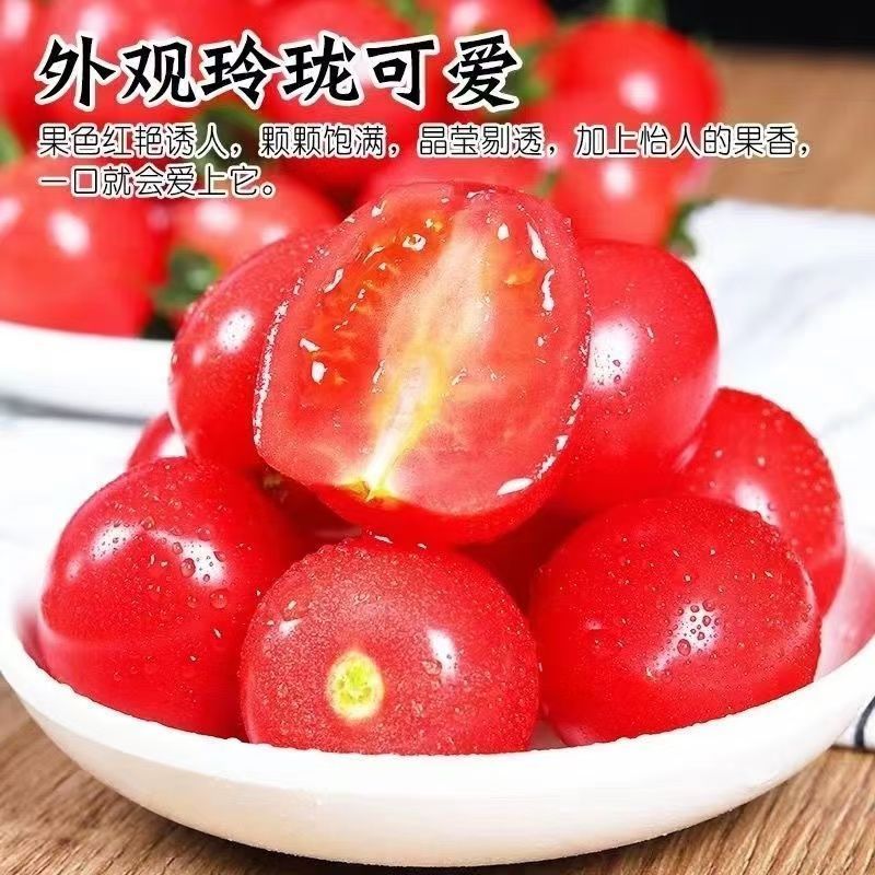 产地一条龙服务/贝贝圣女果靓贝千禧釜山88青甜2号青口蜜