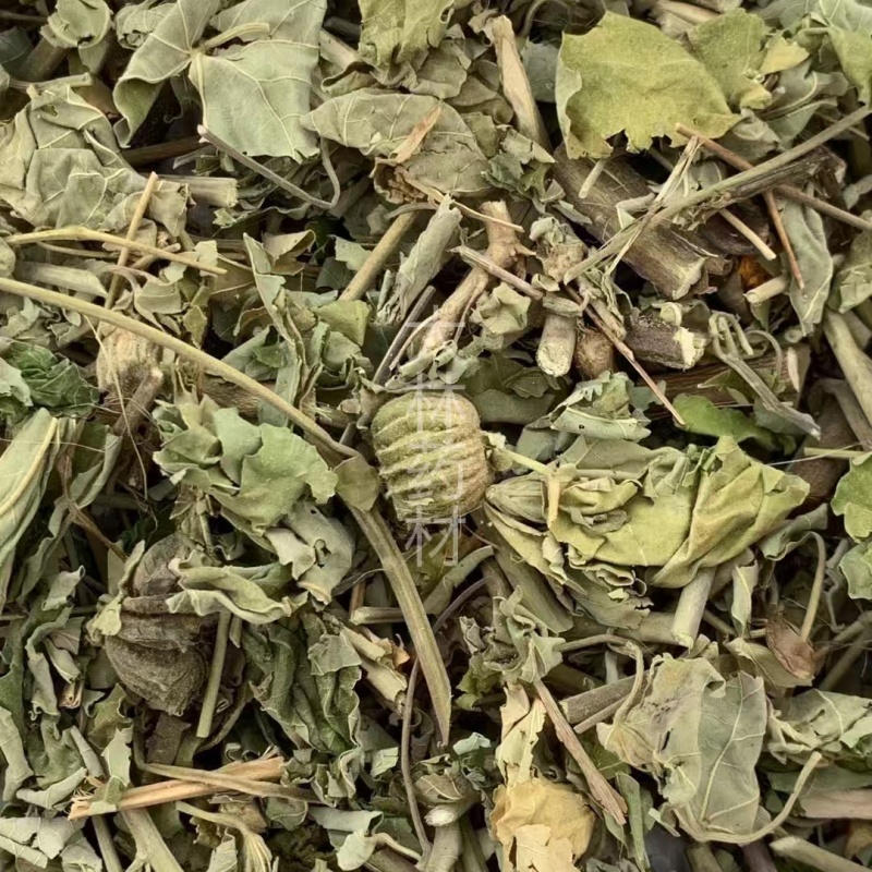 磨盘草【包邮】三斤起发货可批量可零售量大从优