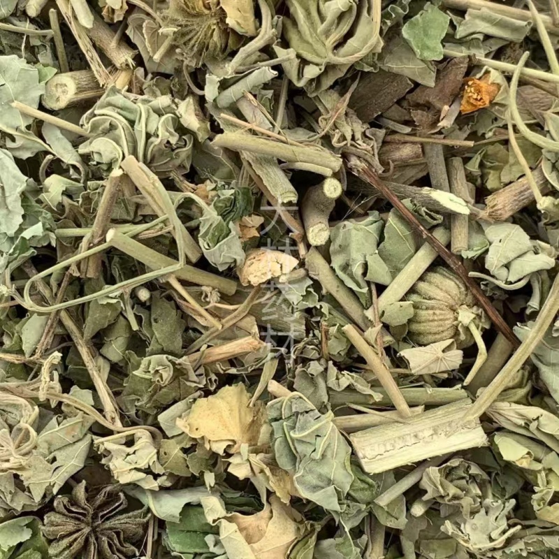 磨盘草【包邮】三斤起发货可批量可零售量大从优