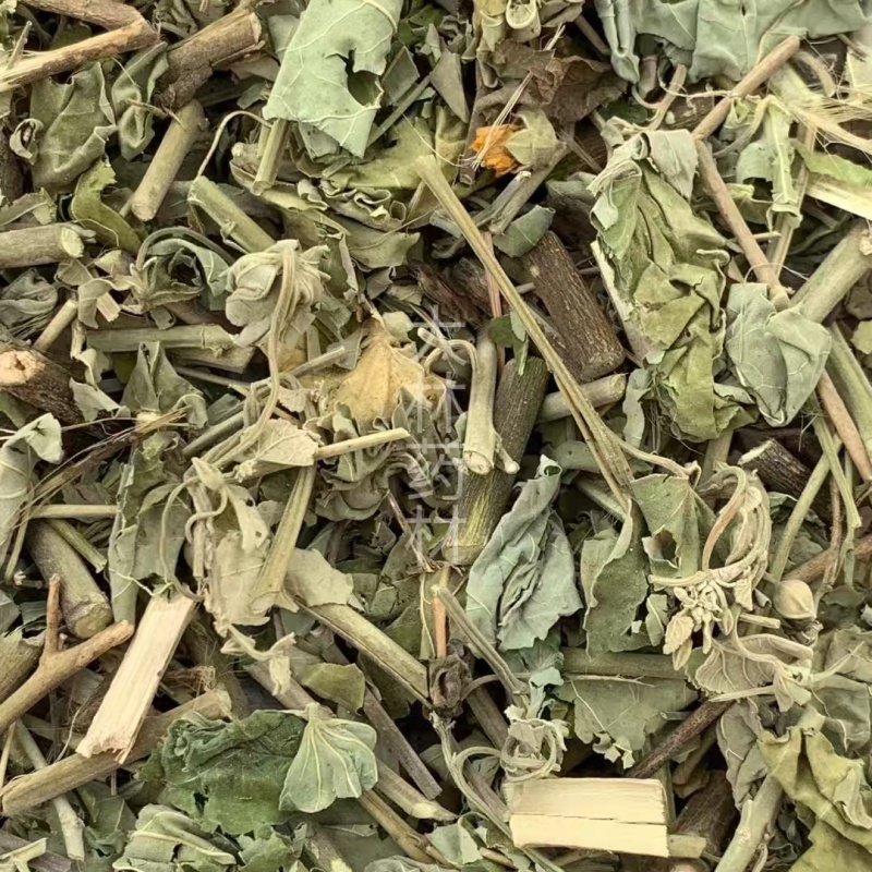 磨盘草【包邮】三斤起发货可批量可零售量大从优