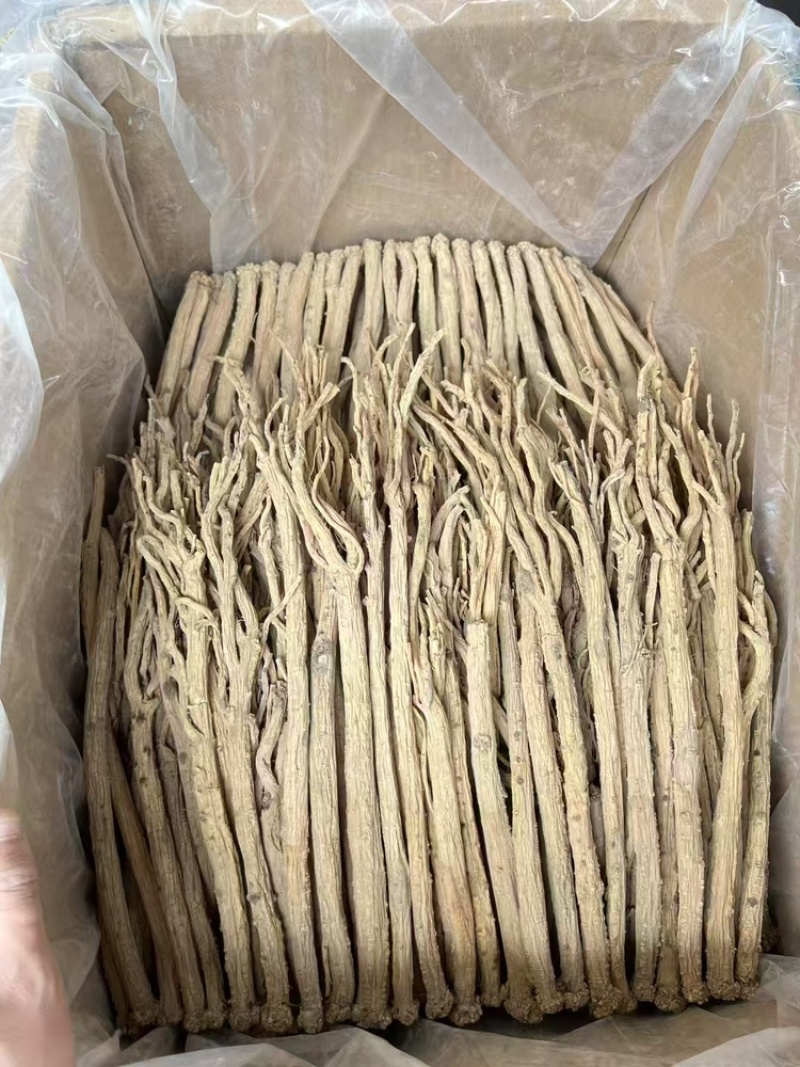 精品线串无硫甘肃党参去疤包邮全干