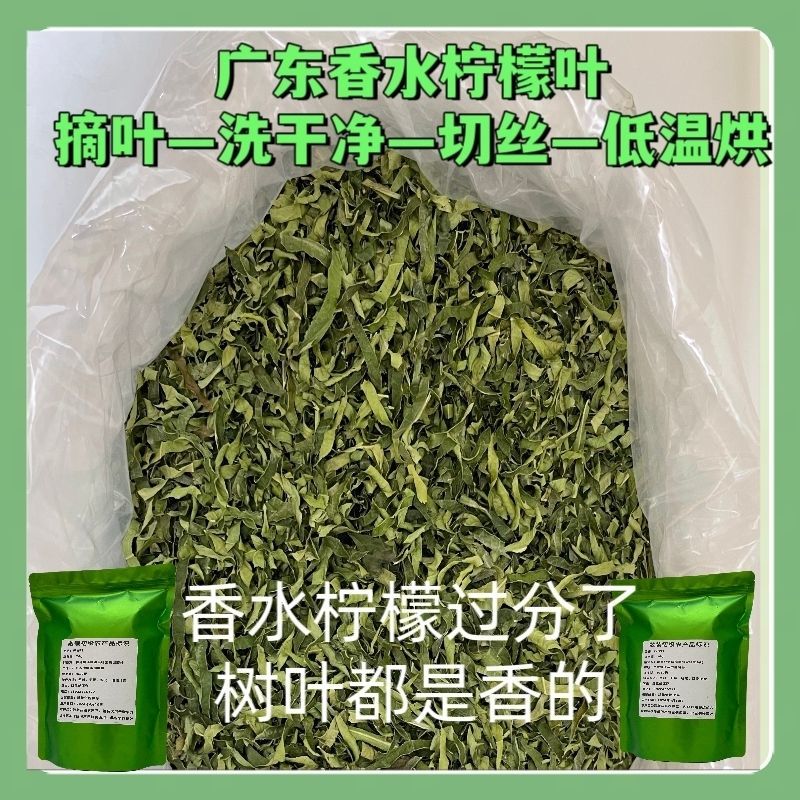 批发香水柠檬叶干丝柠檬茶