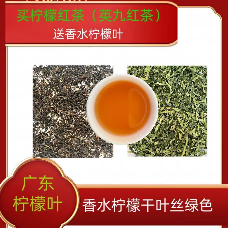 批发香水柠檬叶干丝柠檬茶