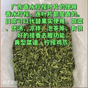 批发香水柠檬叶干丝柠檬茶
