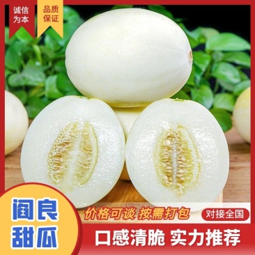 阎良甜瓜陕西甜瓜产地现货一手货源，规格齐全，可视频看货