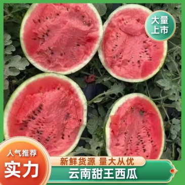 陕西甜王西瓜产地一手货源，现摘现发，脆甜多汁代发全国