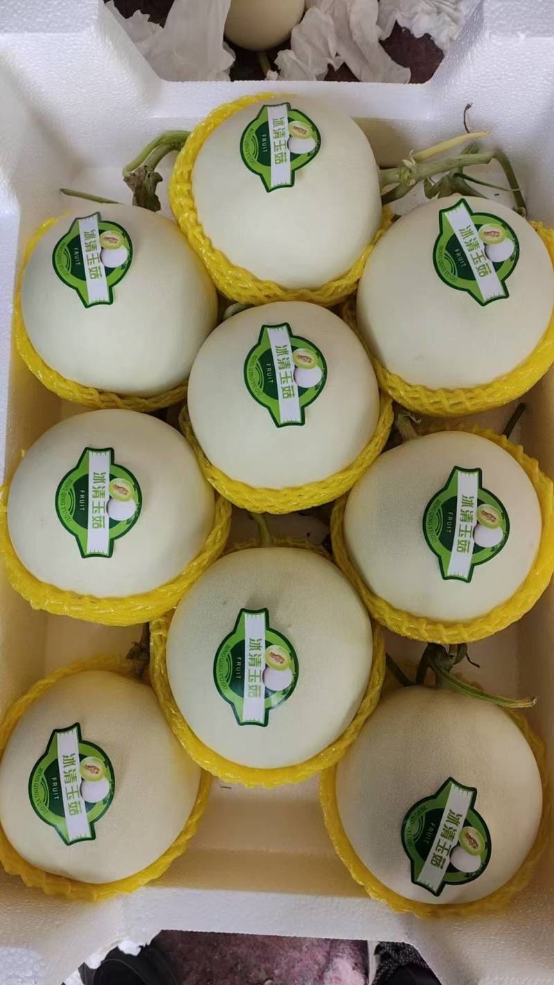 冰淇淋玉菇甜瓜，甜度高，欢迎全国电商市场