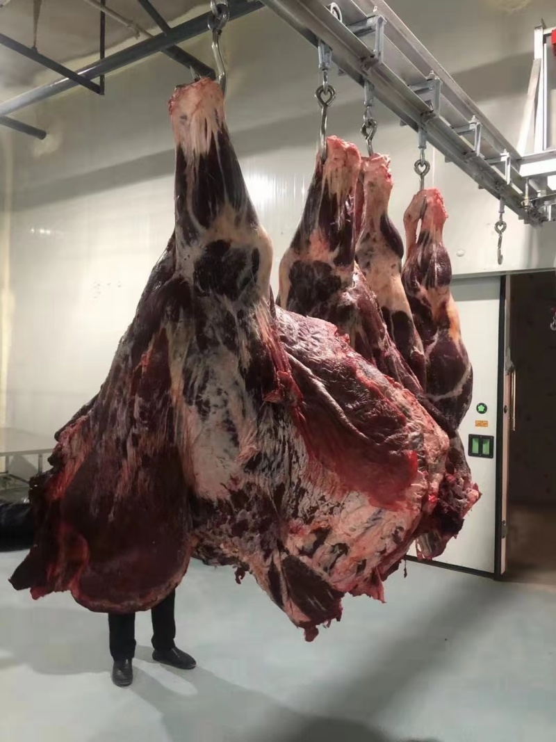 新鲜牛肉