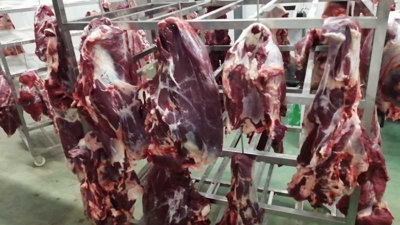新鲜牛肉